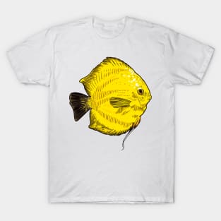 Yellow exotic fish T-Shirt